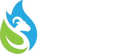 FSI Inc.