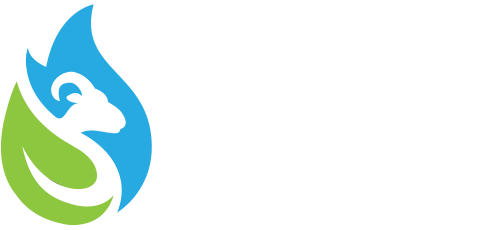 FSI Inc.